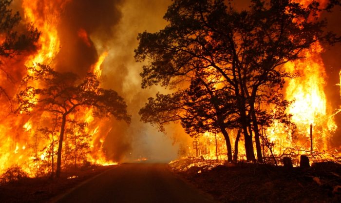 Man-made wildfire fires